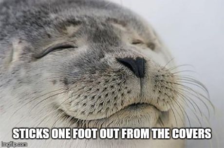 Instant relief  | STICKS ONE FOOT OUT FROM THE COVERS | image tagged in memes,satisfied seal,funny,funny memes | made w/ Imgflip meme maker