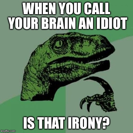 Philosoraptor | WHEN YOU CALL YOUR BRAIN AN IDIOT IS THAT IRONY? | image tagged in memes,philosoraptor | made w/ Imgflip meme maker