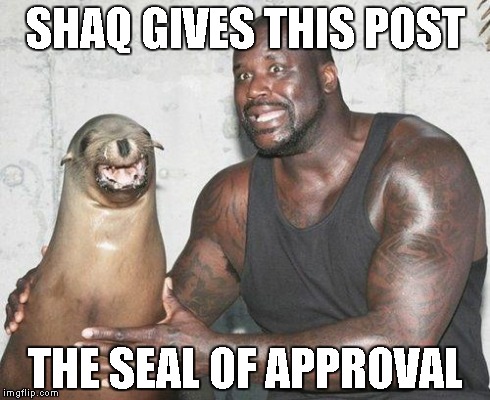 SHAQ GIVES THIS POST THE SEAL OF APPROVAL | image tagged in shaqseal o'neal | made w/ Imgflip meme maker