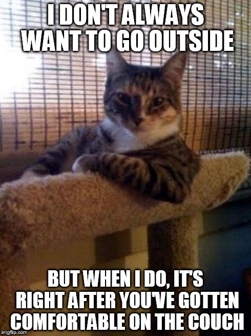The Most Interesting Cat In The World Meme | I DON'T ALWAYS WANT TO GO OUTSIDE BUT WHEN I DO, IT'S RIGHT AFTER YOU'VE GOTTEN COMFORTABLE ON THE COUCH | image tagged in memes,the most interesting cat in the world | made w/ Imgflip meme maker