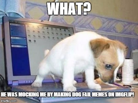 Dog gets revenge with piss | WHAT? HE WAS MOCKING ME BY MAKING DOG FAIL MEMES ON IMGFLIP! | image tagged in dogs,imgflip | made w/ Imgflip meme maker