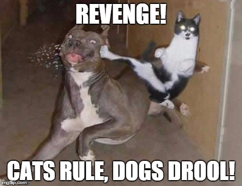 Kitty Revenge | REVENGE! CATS RULE, DOGS DROOL! | image tagged in memes,cats | made w/ Imgflip meme maker
