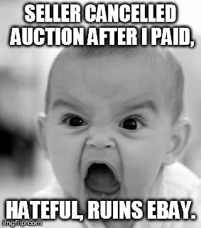 Angry Baby Meme | SELLER CANCELLED AUCTION AFTER I PAID, HATEFUL, RUINS EBAY. | image tagged in memes,angry baby | made w/ Imgflip meme maker