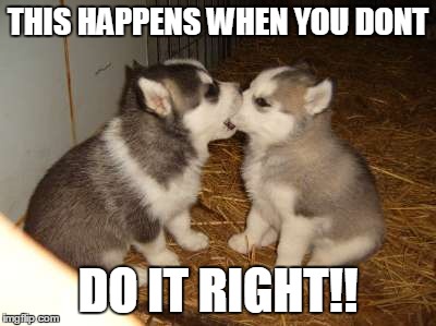 Cute Puppies | THIS HAPPENS WHEN YOU DONT DO IT RIGHT!! | image tagged in memes,cute puppies | made w/ Imgflip meme maker