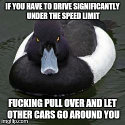 Angry Advice Mallard | IF YOU HAVE TO DRIVE SIGNIFICANTLY UNDER THE SPEED LIMIT F**KING PULL OVER AND LET OTHER CARS GO AROUND YOU | image tagged in angry advice mallard | made w/ Imgflip meme maker
