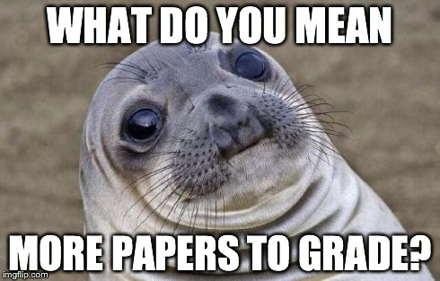 Awkward Moment Sealion Meme | WHAT DO YOU MEAN MORE PAPERS TO GRADE? | image tagged in memes,awkward moment sealion | made w/ Imgflip meme maker