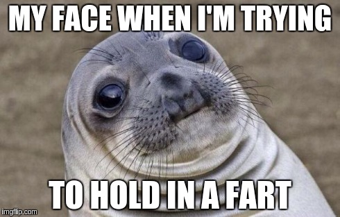 Awkward Moment Sealion | MY FACE WHEN I'M TRYING TO HOLD IN A FART | image tagged in memes,awkward moment sealion | made w/ Imgflip meme maker