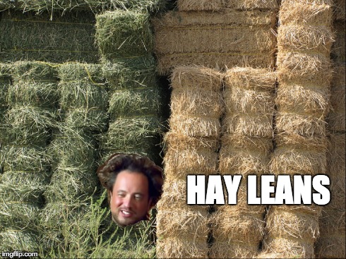 Aliens Guy Wants Captain Obvious' Job | HAY LEANS | image tagged in ancient aliens,aliens,ancient aliens guy,puns | made w/ Imgflip meme maker