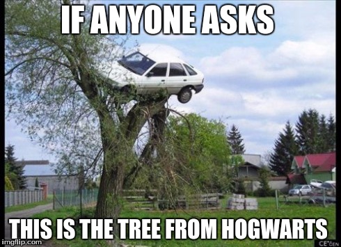 Secure Parking | IF ANYONE ASKS THIS IS THE TREE FROM HOGWARTS | image tagged in memes,secure parking | made w/ Imgflip meme maker