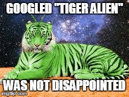 Tiger Alien | GOOGLED "TIGER ALIEN" WAS NOT DISAPPOINTED | image tagged in tiger alien | made w/ Imgflip meme maker
