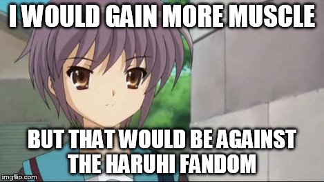 Nagato Blank Stare | I WOULD GAIN MORE MUSCLE BUT THAT WOULD BE AGAINST THE HARUHI FANDOM | image tagged in nagato blank stare | made w/ Imgflip meme maker