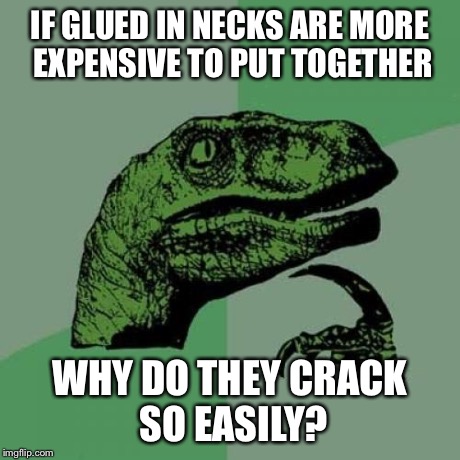 Philosoraptor Meme | IF GLUED IN NECKS ARE MORE EXPENSIVE TO PUT TOGETHER WHY DO THEY CRACK SO EASILY? | image tagged in memes,philosoraptor | made w/ Imgflip meme maker