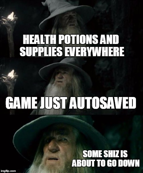 Confused Gandalf | HEALTH POTIONS AND SUPPLIES EVERYWHERE GAME JUST AUTOSAVED SOME SHIZ IS ABOUT TO GO DOWN | image tagged in memes,confused gandalf | made w/ Imgflip meme maker