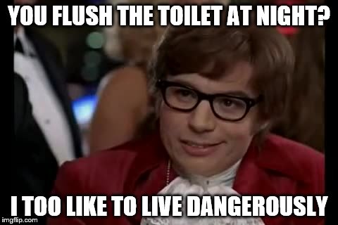 I Too Like To Live Dangerously | YOU FLUSH THE TOILET AT NIGHT? I TOO LIKE TO LIVE DANGEROUSLY | image tagged in memes,i too like to live dangerously | made w/ Imgflip meme maker