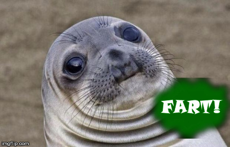 furd | image tagged in memes,awkward moment sealion | made w/ Imgflip meme maker