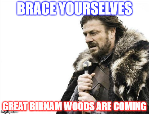 Brace Yourselves X is Coming Meme | BRACE YOURSELVES GREAT BIRNAM WOODS ARE COMING | image tagged in memes,brace yourselves x is coming | made w/ Imgflip meme maker