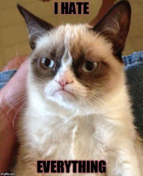Grumpy Cat Meme | I HATE EVERYTHING | image tagged in memes,grumpy cat | made w/ Imgflip meme maker