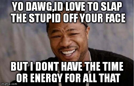 Yo Dawg Heard You | YO DAWG,ID LOVE TO SLAP THE STUPID OFF YOUR FACE BUT I DONT HAVE THE TIME OR ENERGY FOR ALL THAT | image tagged in memes,yo dawg heard you | made w/ Imgflip meme maker