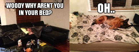 WOODY WHY ARENTYOU IN YOUR BED? OH.. | image tagged in confession bear | made w/ Imgflip meme maker