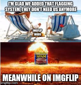 MODS MODS MODS! | I'M GLAD WE ADDED THAT FLAGGING SYSTEM, THEY DON'T NEED US ANYMORE MEANWHILE ON IMGFLIP IMGFLIP MODS | image tagged in mean while on imgflip,sos,help,imgflip,spam | made w/ Imgflip meme maker