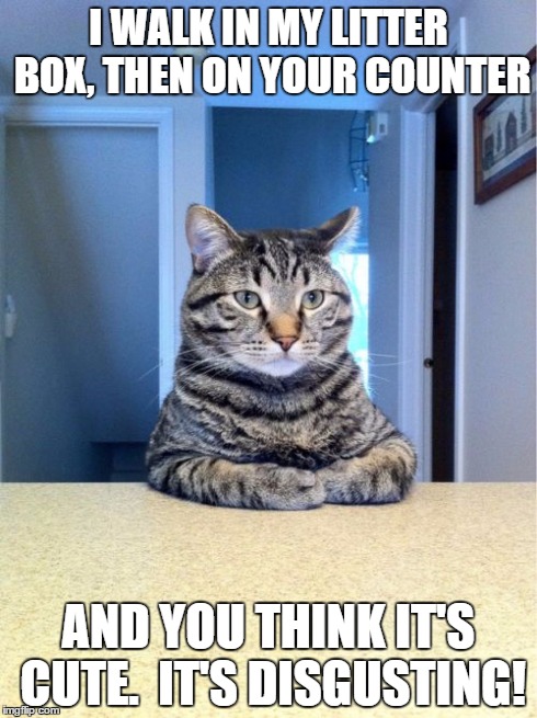 Take A Seat Cat | I WALK IN MY LITTER BOX, THEN ON YOUR COUNTER AND YOU THINK IT'S CUTE.  IT'S DISGUSTING! | image tagged in memes,take a seat cat | made w/ Imgflip meme maker