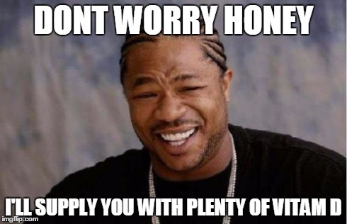 Yo Dawg Heard You | DONT WORRY HONEY I'LL SUPPLY YOU WITH PLENTY OF VITAM D | image tagged in memes,yo dawg heard you | made w/ Imgflip meme maker