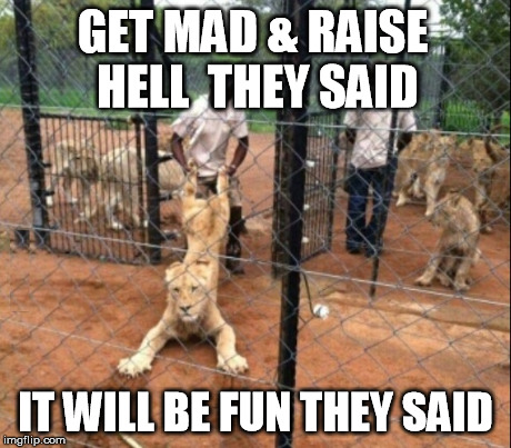 Mad As Hell | GET MAD & RAISE HELL  THEY SAID IT WILL BE FUN THEY SAID | image tagged in it will be fun they said | made w/ Imgflip meme maker