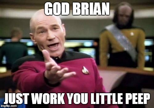 Picard Wtf | GOD BRIAN JUST WORK YOU LITTLE PEEP | image tagged in memes,picard wtf | made w/ Imgflip meme maker