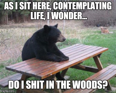 Bad Luck Bear Meme | AS I SIT HERE, CONTEMPLATING LIFE, I WONDER... DO I SHIT IN THE WOODS? | image tagged in memes,bad luck bear | made w/ Imgflip meme maker