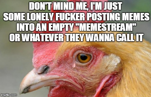 Sad Chicken | DON'T MIND ME, I'M JUST SOME LONELY F**KER POSTING MEMES INTO AN EMPTY "MEMESTREAM" OR WHATEVER THEY WANNA CALL IT | image tagged in sad chicken | made w/ Imgflip meme maker