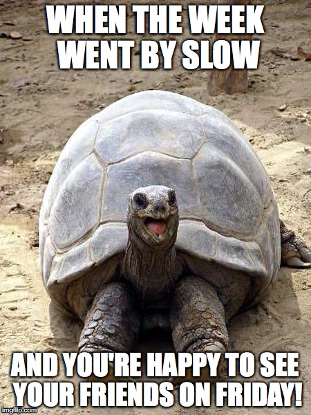 Smiling happy excited tortoise | WHEN THE WEEK WENT BY SLOW AND YOU'RE HAPPY TO SEE YOUR FRIENDS ON FRIDAY! | image tagged in smiling happy excited tortoise | made w/ Imgflip meme maker