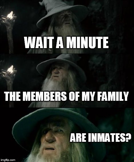 Confused Gandalf Meme | WAIT A MINUTE THE MEMBERS OF MY FAMILY ARE INMATES? | image tagged in memes,confused gandalf | made w/ Imgflip meme maker