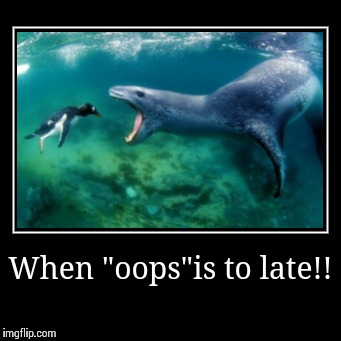 When "oops" is to late. | image tagged in funny,demotivationals,animals | made w/ Imgflip demotivational maker