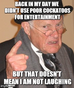 Back In My Day Meme | BACK IN MY DAY WE DIDN'T USE POOR COCKATOOS FOR ENTERTAINMENT BUT THAT DOESN'T MEAN I AM NOT LAUGHING | image tagged in memes,back in my day | made w/ Imgflip meme maker