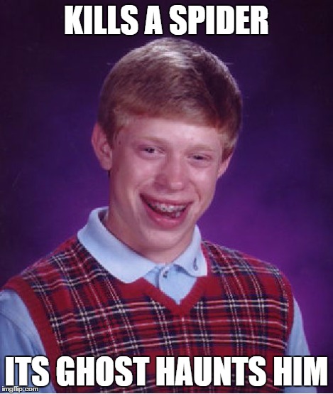 You know that tingly feeling you get after you see a spider? | KILLS A SPIDER ITS GHOST HAUNTS HIM | image tagged in memes,bad luck brian,ghosts,spiders | made w/ Imgflip meme maker