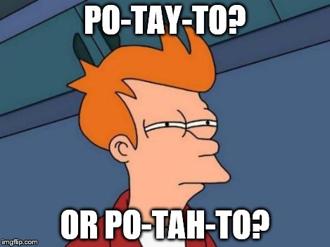 Futurama Fry Meme | PO-TAY-TO? OR PO-TAH-TO? | image tagged in memes,futurama fry | made w/ Imgflip meme maker