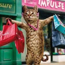 Cat shopping Blank Meme Template