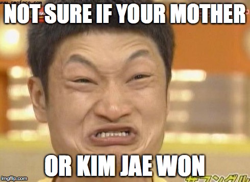 The meme of laughter | NOT SURE IF YOUR MOTHER OR KIM JAE WON | image tagged in funny memes | made w/ Imgflip meme maker