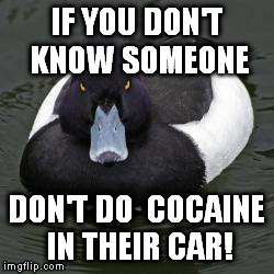 Angry mallard | IF YOU DON'T KNOW SOMEONE DON'T DO  COCAINE IN THEIR CAR! | image tagged in angry mallard | made w/ Imgflip meme maker