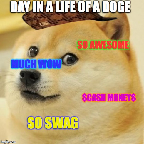 Doge | DAY IN A LIFE OF A DOGE SO AWESOME MUCH WOW $CASH MONEY$ SO SWAG | image tagged in memes,doge,scumbag | made w/ Imgflip meme maker