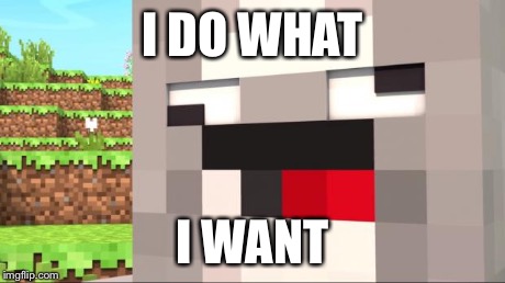 I DO WHAT I WANT | image tagged in i do wat i want | made w/ Imgflip meme maker