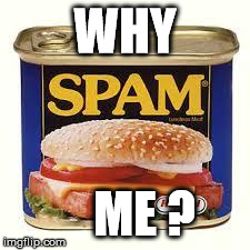 Spam: Hate the Ads, love the meat ! | WHY ME ? | image tagged in spam,spammers,memes | made w/ Imgflip meme maker