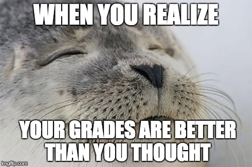 Satisfied Seal Meme | WHEN YOU REALIZE YOUR GRADES ARE BETTER THAN YOU THOUGHT | image tagged in memes,satisfied seal | made w/ Imgflip meme maker
