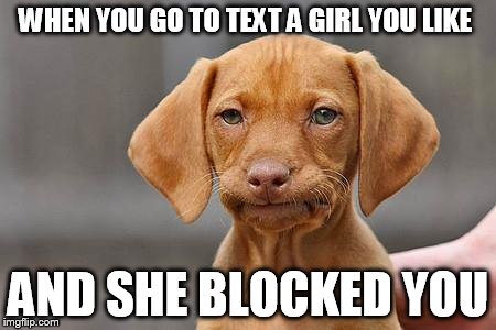 Dissapointed puppy | WHEN YOU GO TO TEXT A GIRL YOU LIKE AND SHE BLOCKED YOU | image tagged in dissapointed puppy | made w/ Imgflip meme maker
