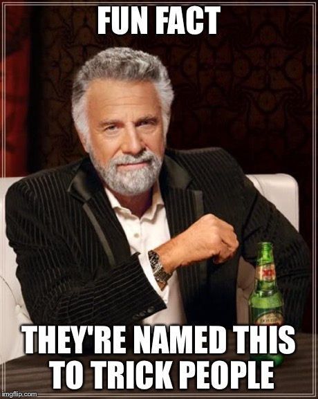 The Most Interesting Man In The World Meme | FUN FACT THEY'RE NAMED THIS TO TRICK PEOPLE | image tagged in memes,the most interesting man in the world | made w/ Imgflip meme maker