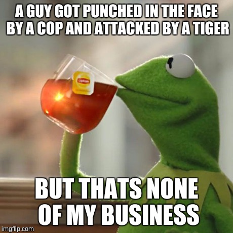 But That's None Of My Business | A GUY GOT PUNCHED IN THE FACE BY A COP AND ATTACKED BY A TIGER BUT THATS NONE OF MY BUSINESS | image tagged in memes,but thats none of my business,kermit the frog | made w/ Imgflip meme maker