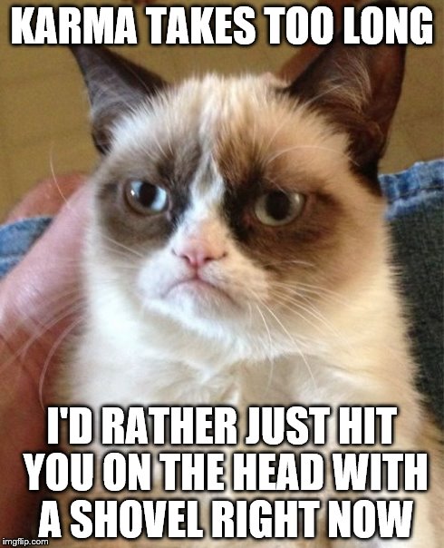 Some people just don't get it... | KARMA TAKES TOO LONG I'D RATHER JUST HIT YOU ON THE HEAD WITH A SHOVEL RIGHT NOW | image tagged in memes,grumpy cat,karma,shovel,crazy | made w/ Imgflip meme maker