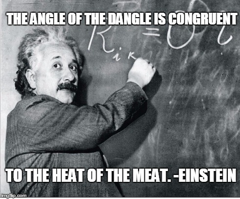 Angle of the Dangle | THE ANGLE OF THE DANGLE IS CONGRUENT TO THE HEAT OF THE MEAT. -EINSTEIN | image tagged in heat of the meat,equations,vince vance,einstein sex,albert einstein sex equation,boners | made w/ Imgflip meme maker