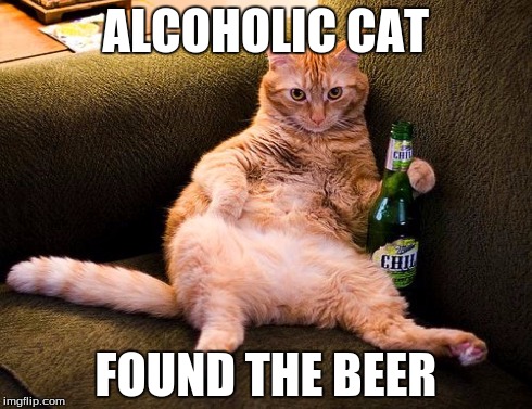 ALCOHOLIC CAT FOUND THE BEER | image tagged in cats | made w/ Imgflip meme maker