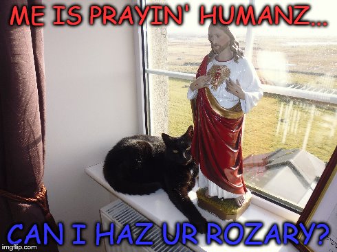 Pious Puss! | ME IS PRAYIN' HUMANZ... CAN I HAZ UR ROZARY? | image tagged in funny cats,prayer,memes | made w/ Imgflip meme maker